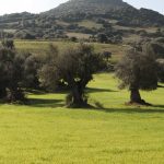 La Sardegna in inverno, cosa fare e dove andare