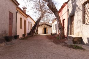 sardegna san salvatore